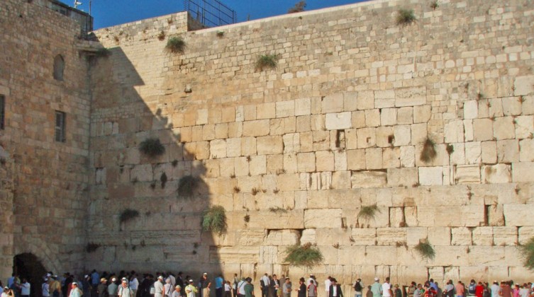 الاحتلال يعتقل إسرائيلية تتجول بـ"ملابس داخلية" في ساحة حائط البراق