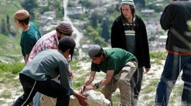 مستوطنون يخربون غرفة زراعية ويحطمون أشجارا شرق رام الله