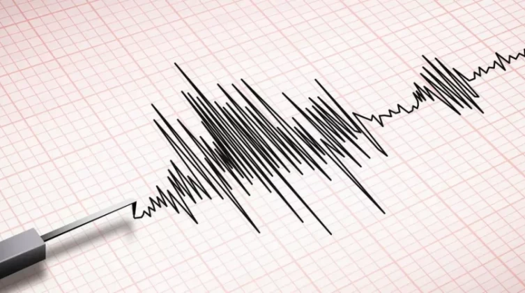 الإعلام الحكومي بغزة ينشر نصائح مهمة للمواطنين في حال الشعور بهزة أرضية 