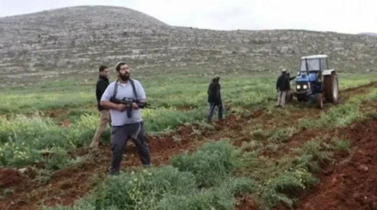 مستوطنون يستولون على أرض زراعية جنوب بيت لحم