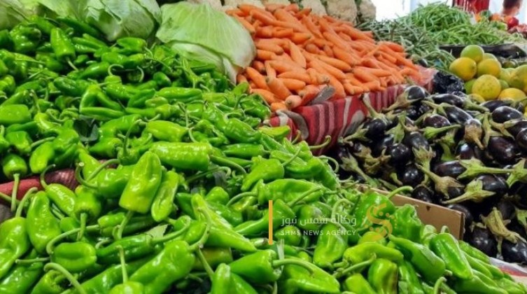أسعار المنتجات الزراعية واللحوم في أسواق غزة اليوم الثلاثاء