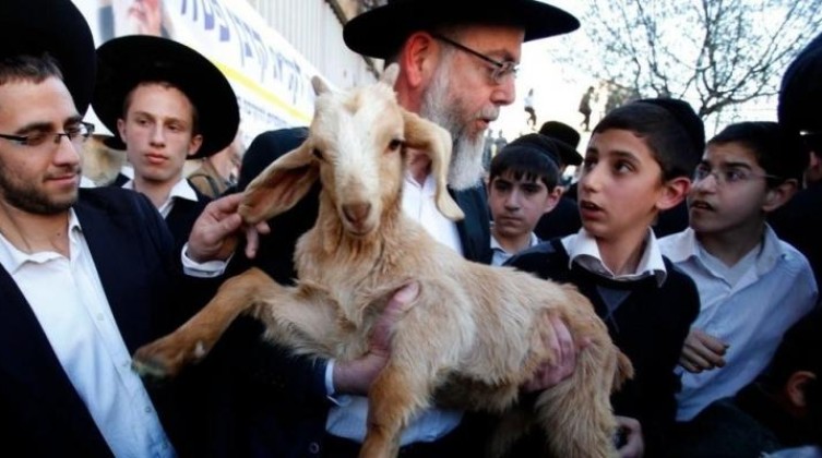 منظمات الهيكل" تدعو لإحضار القرابين للمسجد الأقصى