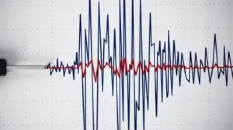 هزة ارتدادية بقوة 4.8 درجة تضرب شمال خليج الإسكندرون