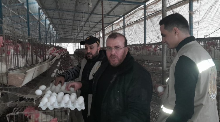 الاقتصاد بغزة: توقيف عدد من موزعي البيض لرفعهم الأسعار