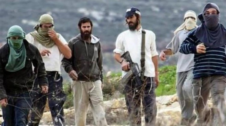 مستوطنون يطلقون الرصاص صوب الفلسطينيين في أريحا