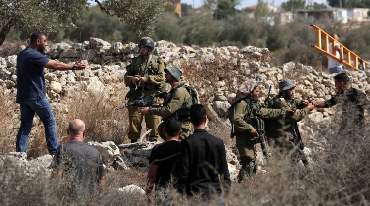 الاحتلال يفرض غرامة مالية على مزارعين من الأغوار لإسترداد جراريهما