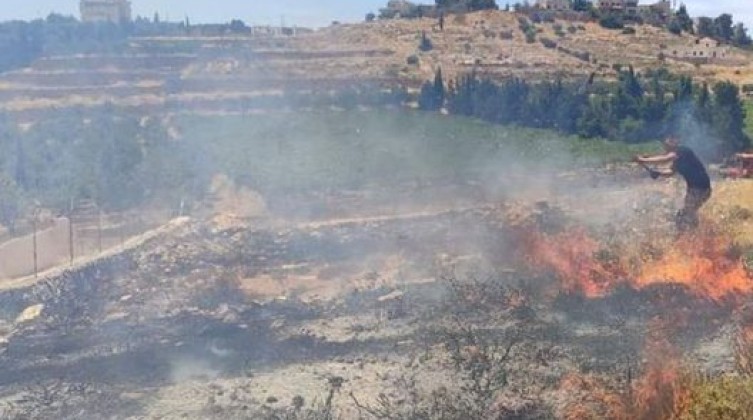 مستوطنون يتلفون محاصيل زراعية شرق يطا.. والاحتلال يحتجز 3 فلسطينيين
