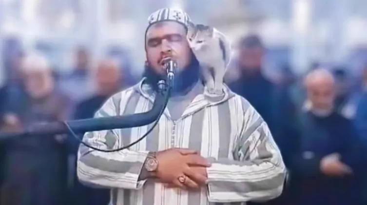 شاهد- أول تعليق للإمام الجزائري عن حادثة القطة التي تصدرت الترند