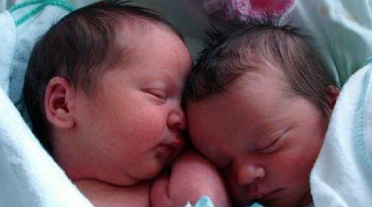 الأشقر: ارتفاع عدد سفراء الحرية لـ 113 طفلًا