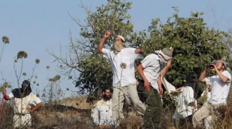 مستوطن يهاجم مواطنا جنوب نابلس