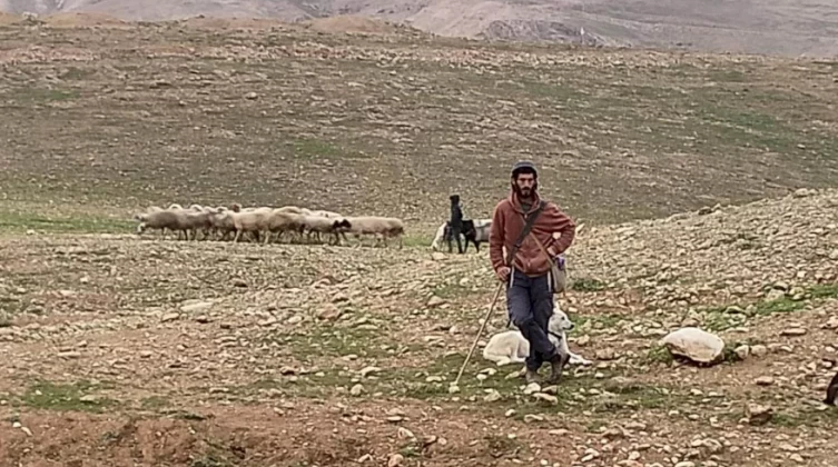 مستوطنون-يحاصرون-رعاة-أغنام-غرب-أريحا-ويهددونهم-بالسلاح-1676795847.jpg