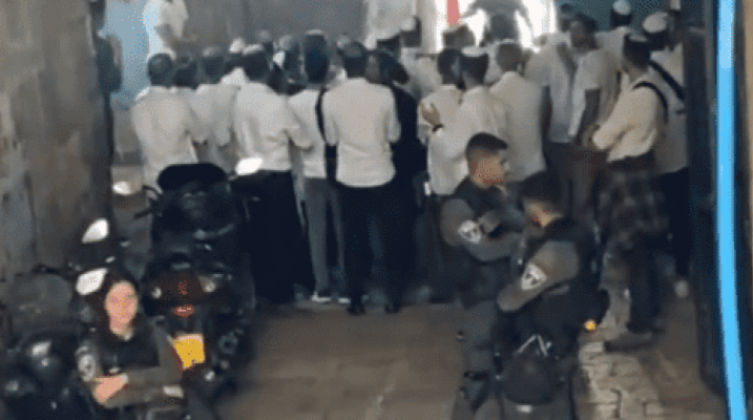 بالفيديو: مستوطنون  يؤدون رقصات استفزازية أمام بابي الملك فيصل والغوانمة