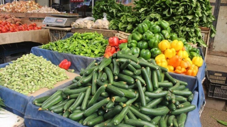 أسعار المنتجات الزراعية واللحوم في أسواق غزة اليوم الأربعاء
