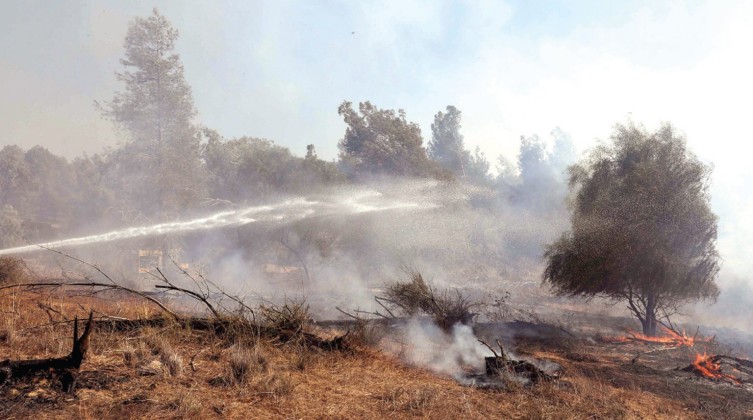 بالفيديو: اندلاع حريق كبير في مستوطنات غلاف غزة