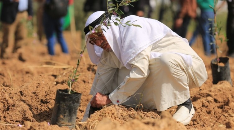 الزراعة بغزة تدعو أصحاب الأراضي الفارغة للتسجيل بمشروع تخضير فلسطين