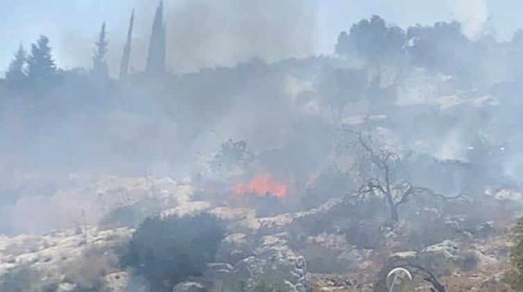 بالفيديو: مستوطنون يحرقون محاصيل زراعية في ترمسعيا شمال رام الله