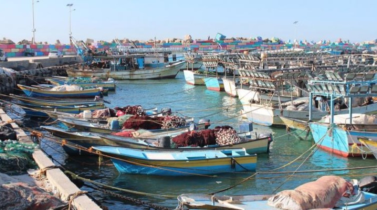 مراكب الصيد الكبيرة في بحر غزة تتوقف عن العمل .. لهذا السبب