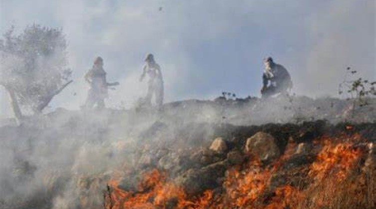 مستوطنون يحرقون محاصيل زراعية جنوب الخليل