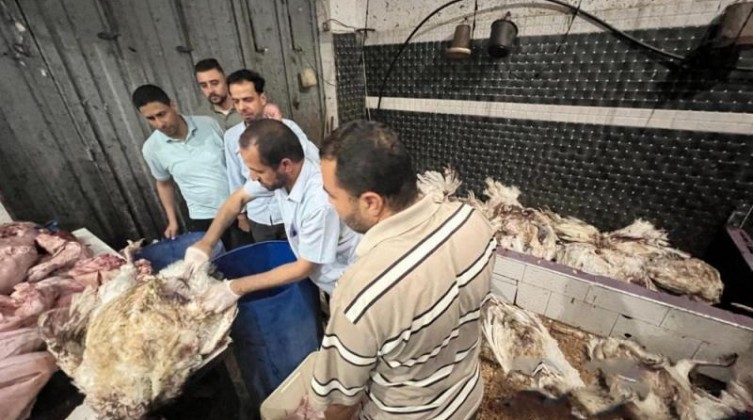 بالصور: "الاقتصاد" بغزة تتلف كميات كبيرة من الحبش الغير صالح للاستهلاك