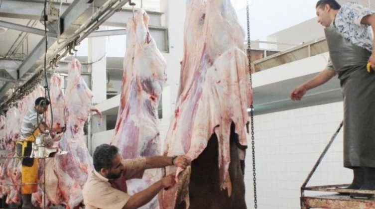 بلدية غزة: سيتم تحرير مخالفة لكل من يقوم بالذبح خارج نقاط الذبح