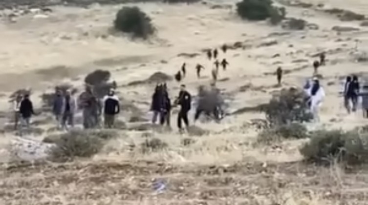 حرق محاصيل.jpeg