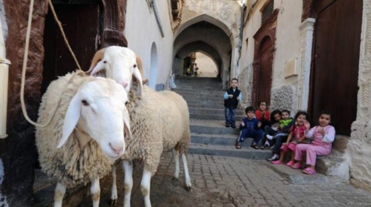 مركز الفلك الدولي يكشف عن موعد أول أيام عيد الأضحى2023