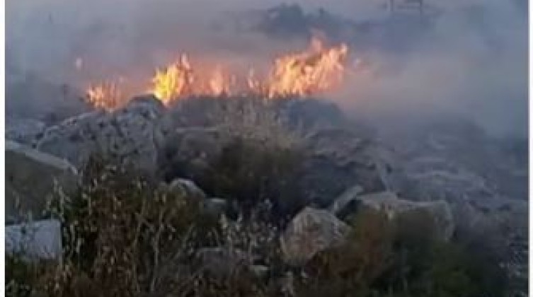 بالفيديو: مستوطنون يهاجمون منازل المواطنين في قرية المزرعة الغربية