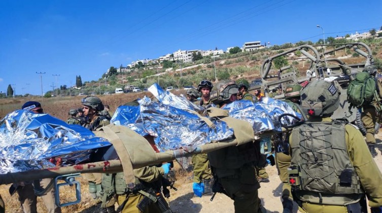 photo_2023-07-06_18-03-16