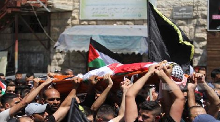 صدور العدد 292 من دورية شؤون فلسطينية