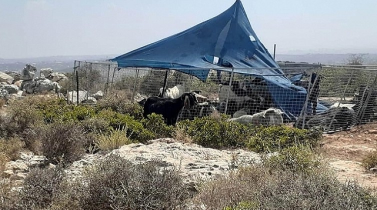 مستوطنون ينصبون خياماً في محمية طبيعية شرق بيت لحم