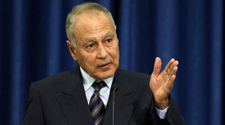 أبو الغيط يطالب دول إفريقيا لتوسيع رقعة الاعتراف بدولة فلسطين