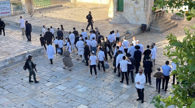 بالفيديو والصور: عشرات المستوطنين يقتحمون الأقصى بحماية قوات الاحتلال