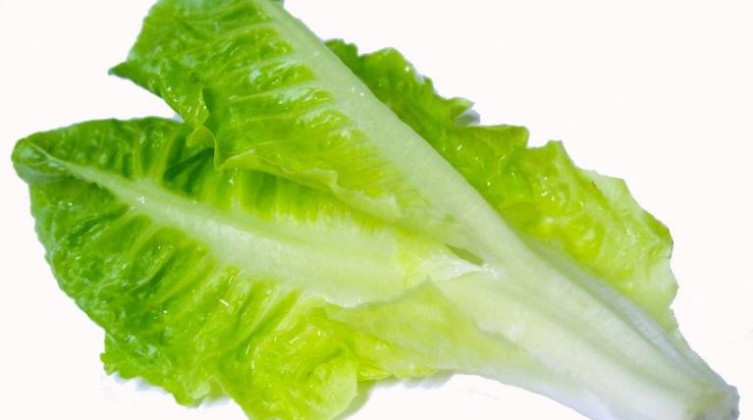 "فوائد مذهلة" للخس خاصة لمرضى السكري