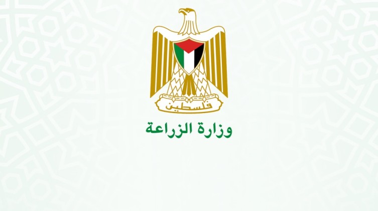 الزراعة بغزة تتلف أطنان من الفاكهة لمخالفتها الشروط الصحية