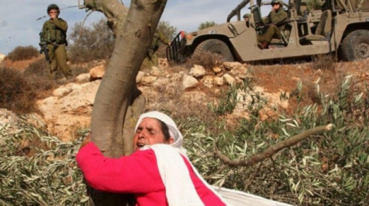 حماس تصدر بياناً بمناسبة يوم الأرض