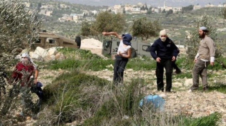 مستوطنون يهاجمون تجمع "عرب المليحات" غرب أريحا