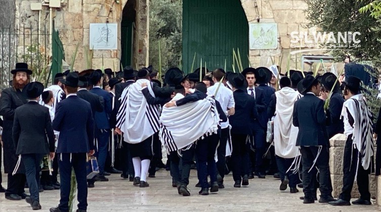 بالفيديو: مئات المستوطنين يقتحمون الأقصى في سادس أيام عيد العرش