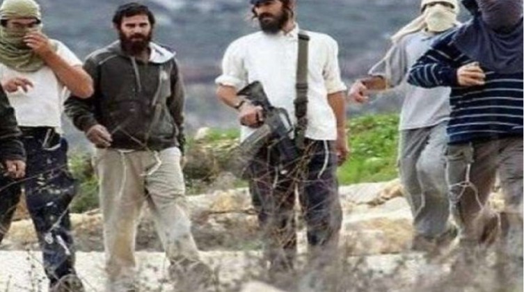 إصابات في اعتداء للمستوطنين في جماعين جنوب نابلس