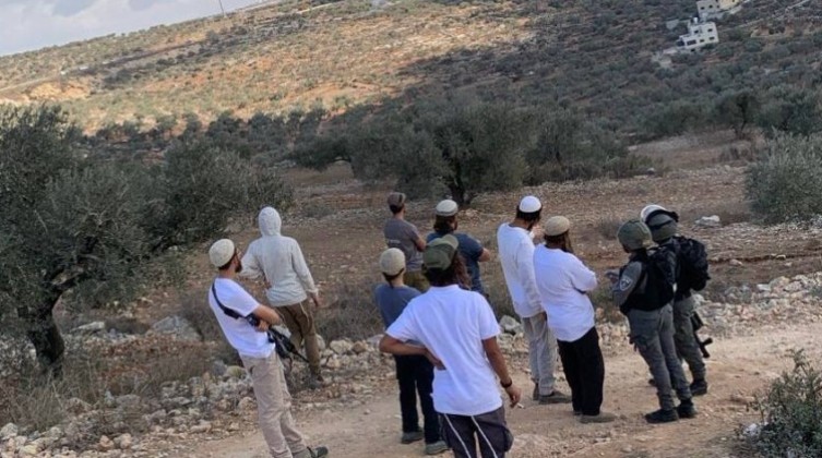 مستوطنون يعتدون على قاطفي الزيتون في طولكرم ونابلس