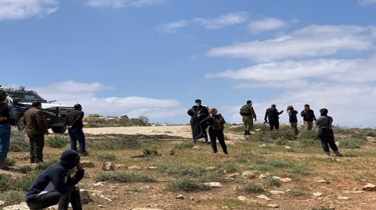 مستوطنون يرعون أغنامهم داخل أراضي المواطنين في مسافر يطا