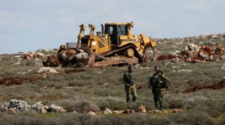 مستوطنون يجرفون 30 شجرة زيتون غرب سلفيت