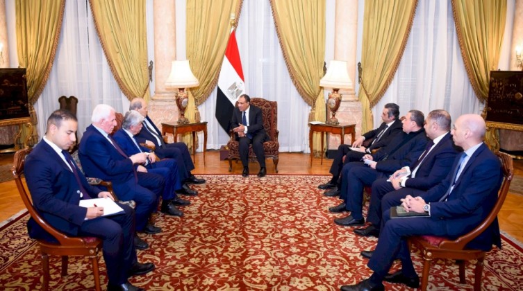وزير خارجية مصر يستقبل وفداً من منظمة التحرير الفلسطينية.. ماذا بحثا؟