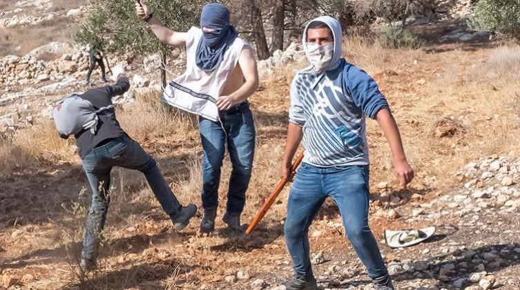أوتشا يحذر من تصاعد عنف المستوطنين في الضفة