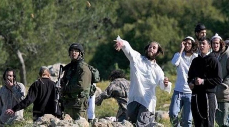 إصابة 6 مواطنين باعتداء مستوطنين عليهم بالخليل