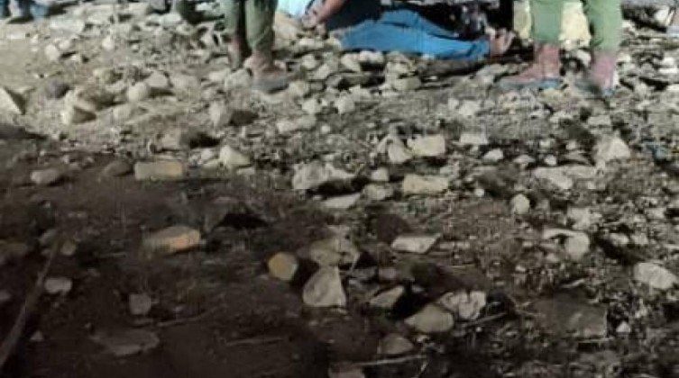 مستوطنون يسرقون مئات الأغنام بالأغوار الشمالية ويقتلونها