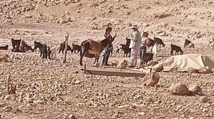 مستوطنون يقتحمون شلال العوجا ويعتدون على ممتلكات السكان