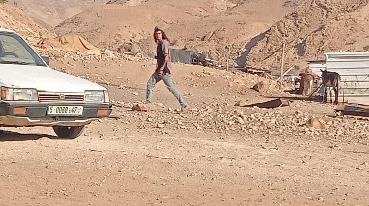 مستوطنون يطلقون مواشيهم بين منازل المواطنين بتجمع شلال العوجا