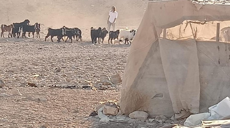 مستوطنون يقتحمون قرية شلال العوجا شمال أريحا
