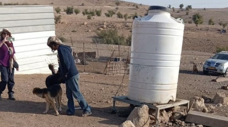 مستوطنون يقتحمون قرية شلال العوجا شمال أريحا