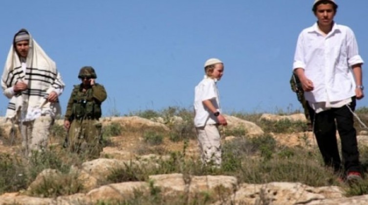 اعتداءات للمستوطنين في تجمع شلال العوجا شمال مدينة أريحا